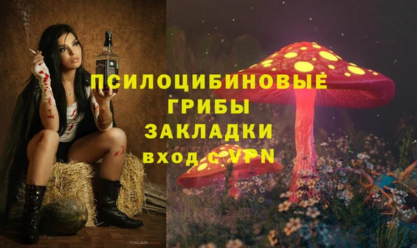 эйфоретик Балахна