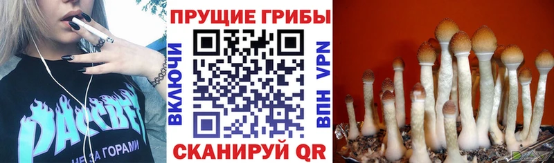 Псилоцибиновые грибы Magic Shrooms  Люберцы 